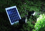 Solar Lighting System SPS3-5W-2C